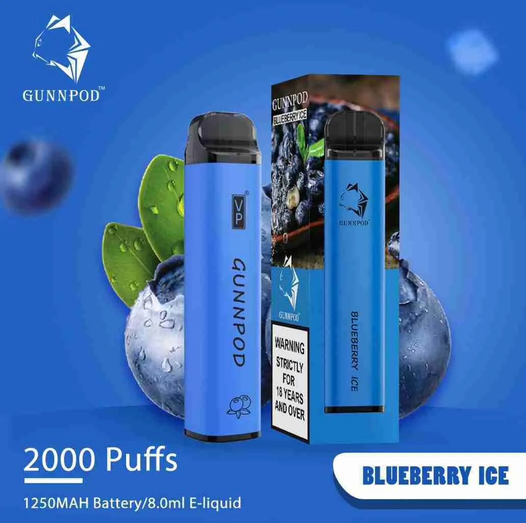 Blueberry Ice-2000 puffs
